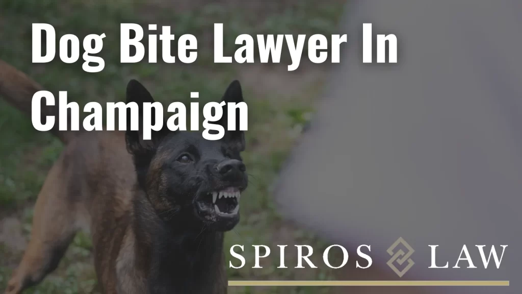 Dog Bite Lawyer In Champaign